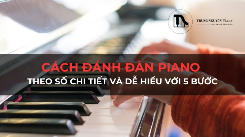 Cách đánh đàn piano theo số chi tiết và dễ hiểu với 5 bước