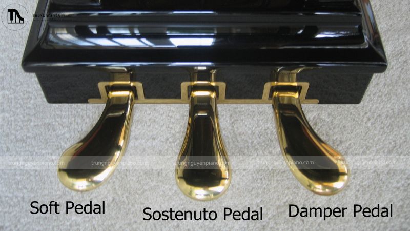 Pedal Piano đóng vai trò quan trọng trong việc điều chỉnh âm sắc