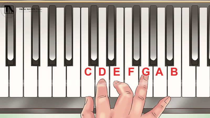 Cách học đàn piano nhanh nhất, hiệu quả cho người mới 10 Muốn thành thạo piano cần luyện tập thường xuyên