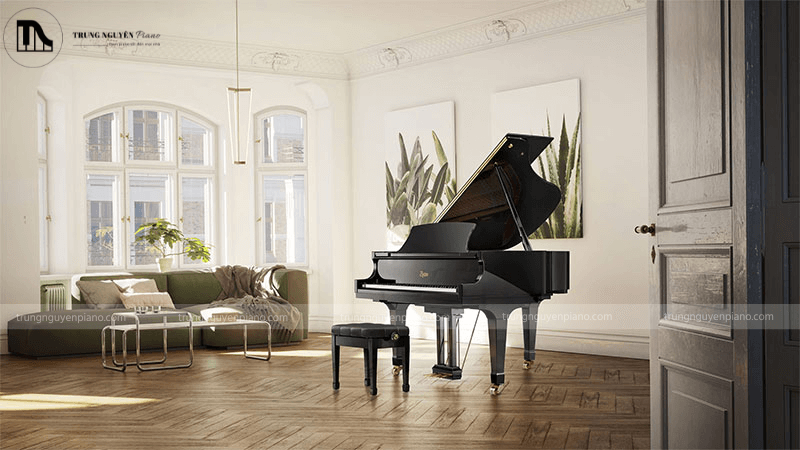 Cách học đàn piano nhanh nhất, hiệu quả cho người mới 12 Đàn Piano Acoustic