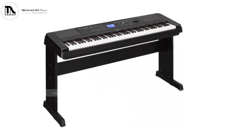 Cách học đàn piano nhanh nhất, hiệu quả cho người mới 13 Đàn Piano Digital