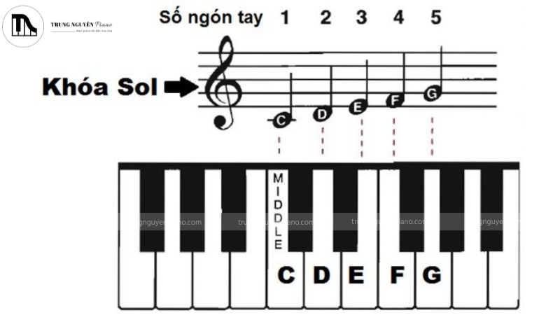 Cách học đàn piano nhanh nhất, hiệu quả cho người mới 6 Khóa Sol là ký hiệu âm nhạc phổ biến nhất