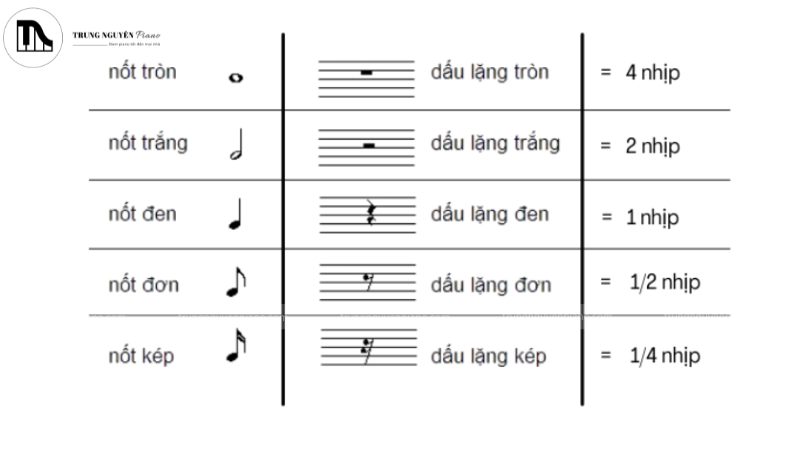 Cách học đàn piano nhanh nhất, hiệu quả cho người mới 7 Nhạc lý piano cơ bản