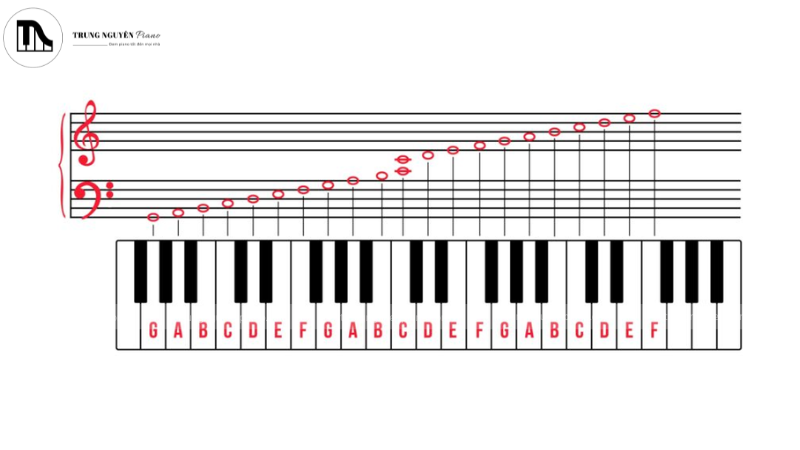 Cách học đàn piano nhanh nhất, hiệu quả cho người mới 8 Vị trí nốt nhạc trên bàn phím piano