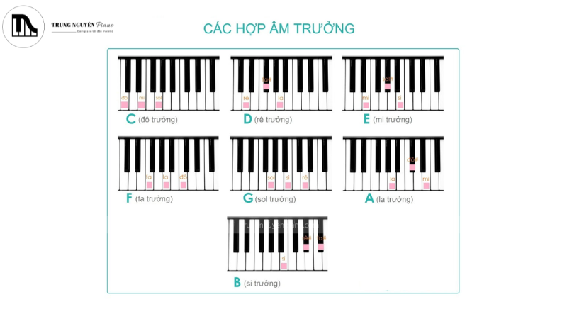 Cách học đàn piano nhanh nhất, hiệu quả cho người mới 9 Các hợp âm này được sử dụng rất phổ biến