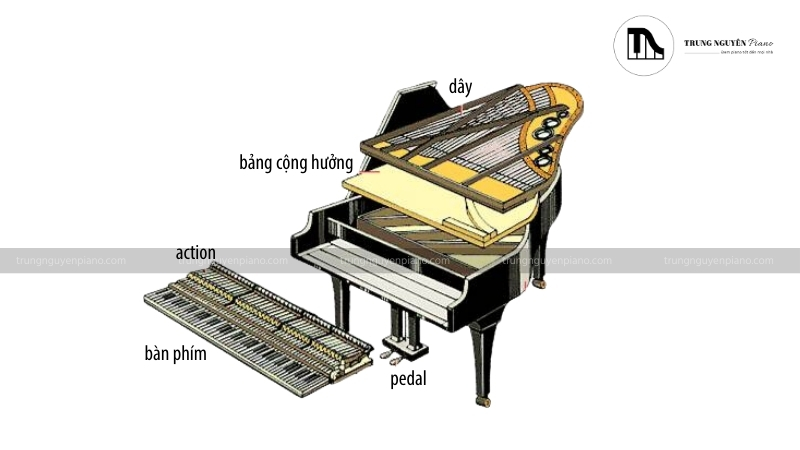 Cấu tạo cơ bản của piano