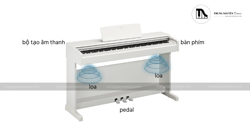 Cấu tạo của piano điện