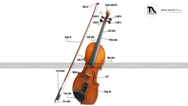Cấu tạo cơ bản của violin