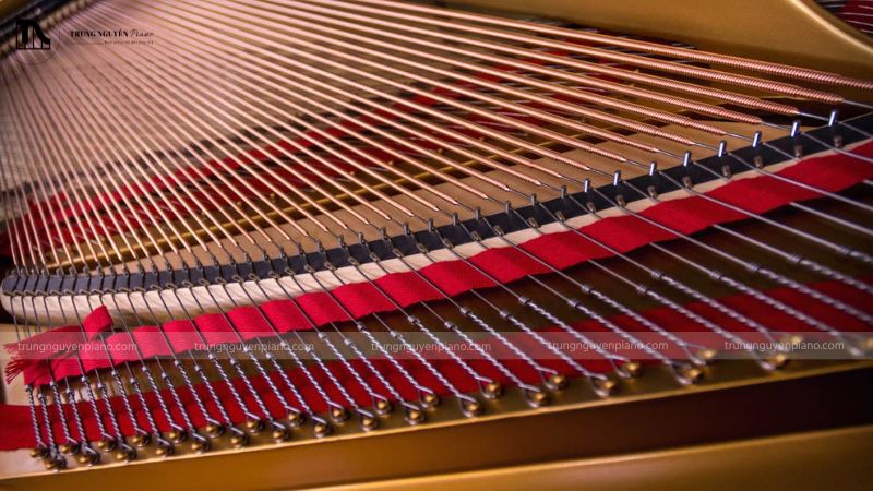 Dây đàn (string) của đàn piano cơ