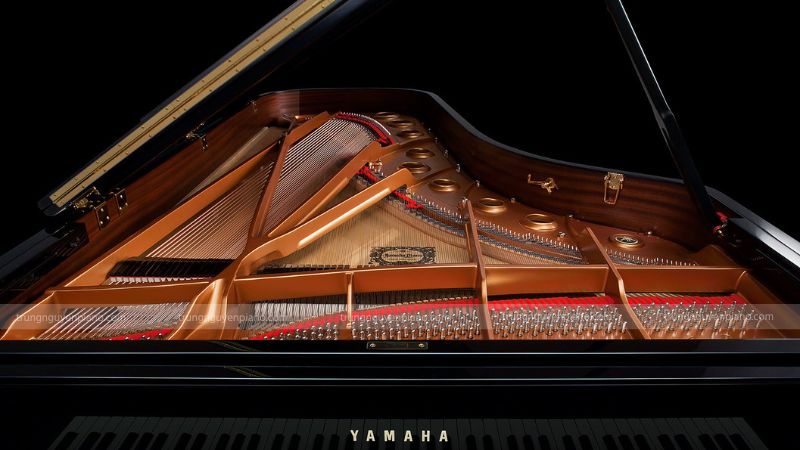 Bảng cộng hưởng (Soundboard)