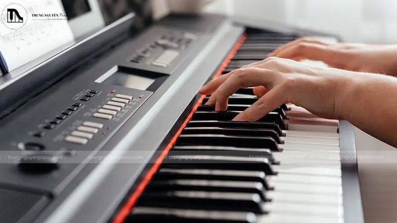 Bộ máy tạo âm (sound generator)