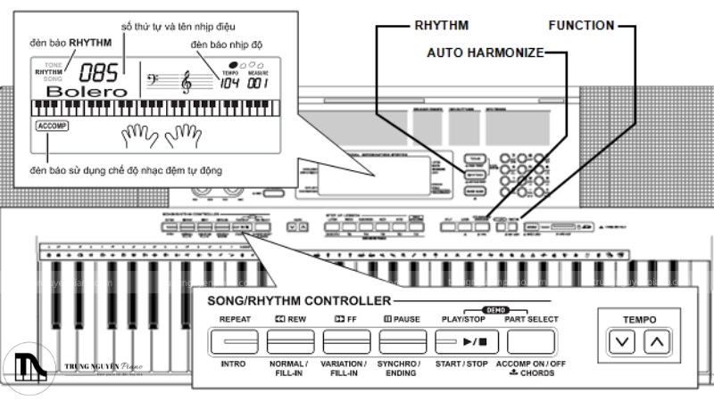 Đàn Organ là gì? Tìm hiểu cấu tạo, phân loại và cách chọn mua phù hợp 2 Các bộ phận chính của đàn organ