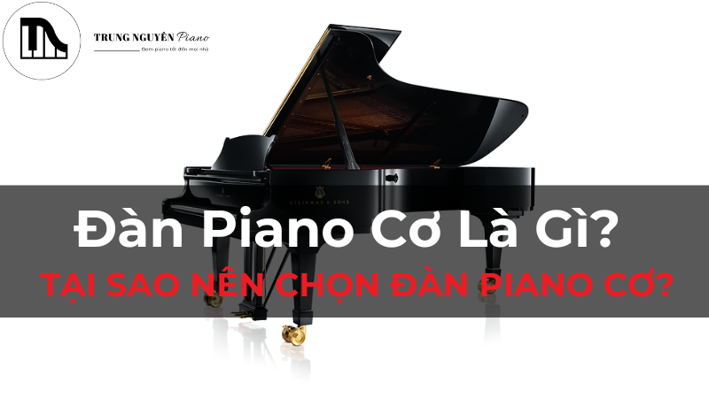 Đàn Piano Cơ Là Gì? Tại Sao Nên Chọn Đàn Piano Cơ?