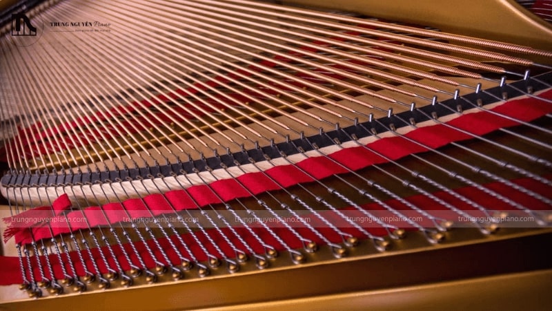 Đàn piano có bao nhiêu dây? Tìm hiểu kiến thức cơ bản về dây đàn 2 Dây đàn piano được chia thành hai loại chính với cấu tạo khác biệt