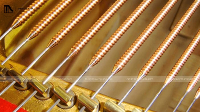 Đàn piano có bao nhiêu dây? Tìm hiểu kiến thức cơ bản về dây đàn 3 Dây bass của đàn piano