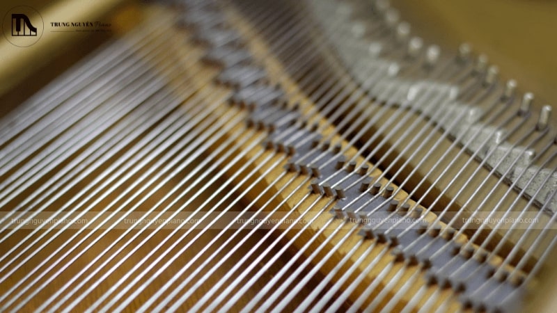 Đàn piano có bao nhiêu dây? Tìm hiểu kiến thức cơ bản về dây đàn 4 Dây treble của đàn piano