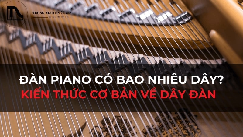 Đàn piano có bao nhiêu dây? Tìm hiểu kiến thức cơ bản về dây đàn