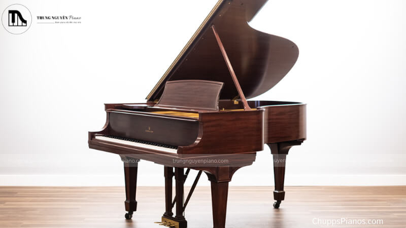 Đàn piano có tên gọi khác là gì? Tên gọi và lịch sử phát triển của piano 4 Grand Piano (Piano Cánh Lớn)