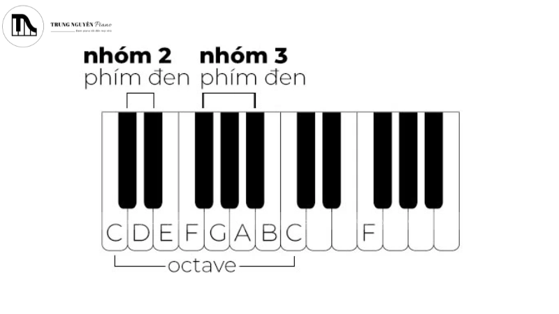 Bàn phím piano với các phím đen, nhóm 2 và 3