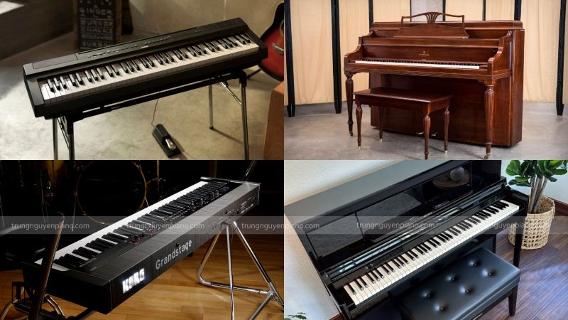 Đàn piano điện là gì? Top 3 đàn piano điện tốt nhất hiện nay 2 Phân loại đàn piano điện