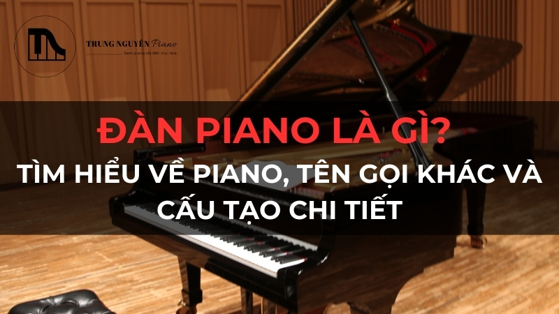 Đàn Piano là gì? Tìm hiểu về Piano, tên gọi khác và cấu tạo chi tiết