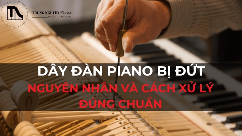 Dây đàn piano bị đứt: Nguyên nhân và cách xử lý đúng chuẩn