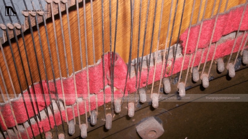 Dây đàn piano bị đứt: Nguyên nhân và cách xử lý đúng chuẩn 2 Dây đàn piano bị đứt do dây quá cũ