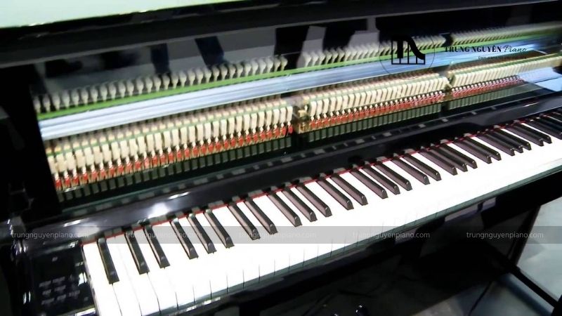 Piano Hybrid là gì? Tìm hiểu về loại piano lai giữa cơ và điện 4 Độ dài bàn phím tương tự như piano acoustic
