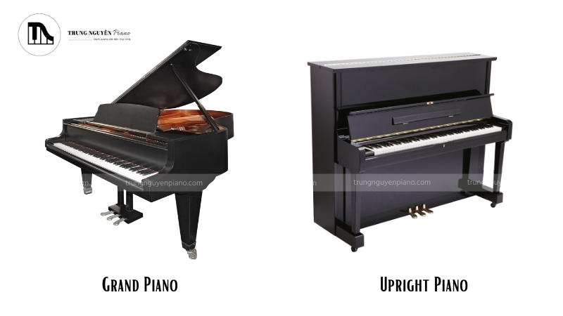 Grand Piano và Upright Piano