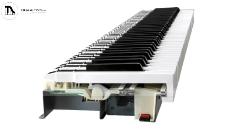 Cấu trúc phím đàn Piano
