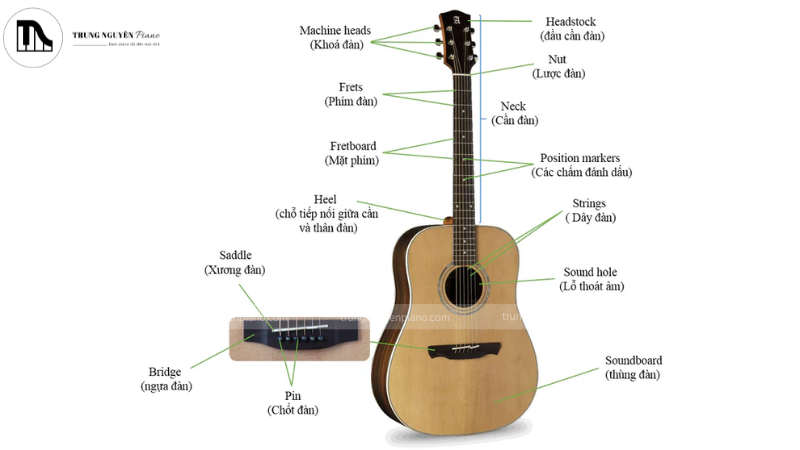 Cấu trúc của guitar