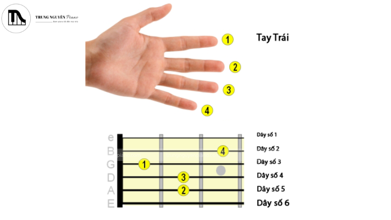 Cách đặt ngón tay khi chơi guitar