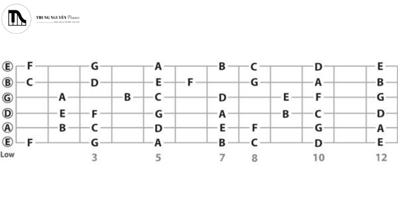 Nhạc lý guitar cơ bản