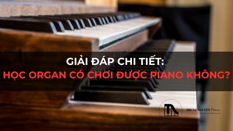 Giải đáp chi tiết: Học organ có chơi được piano không?
