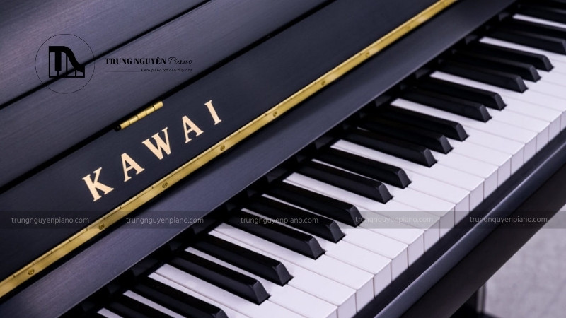 So sánh piano Kawai và Yamaha chi tiết, toàn diện 8 Kawai thường được yêu thích bởi những người chơi muốn trải nghiệm sự độc đáo