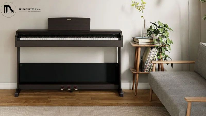 Piano điện giá rẻ dưới 3 triệu có nên mua không? Hướng dẫn chọn chi tiết 4 Cách chọn mua piano điện đã qua sử dụng