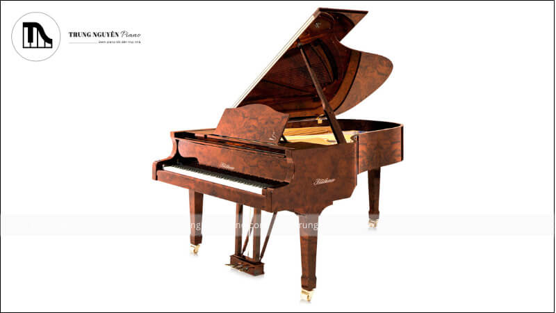 Steinway & Sons là thương hiệu đàn piano cao cấp hàng đầu thế giới
