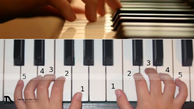 9 bài tập luyện ngón piano hiệu quả cho người mới bắt đầu 2 Luyện ngón bằng cách chơi từng nốt nhạc bằng từng ngón tay