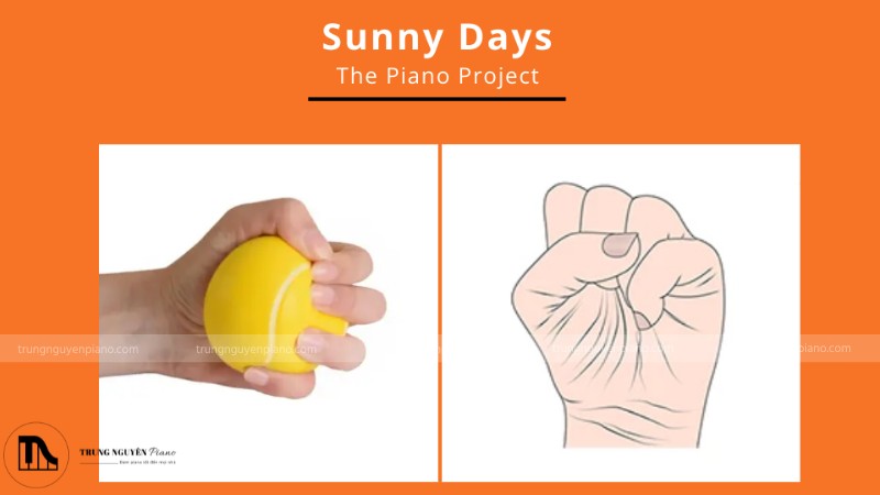 9 bài tập luyện ngón piano hiệu quả cho người mới bắt đầu 7 Mẹo luyện ngón bằng cách bóp bóng