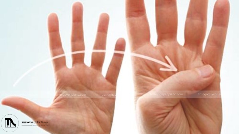 9 bài tập luyện ngón piano hiệu quả cho người mới bắt đầu 8 Mẹo luyện ngón piano bằng uốn cong ngón tay tăng sự linh hoạt
