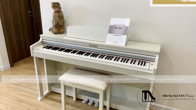 Piano Điện BOWMAN CX-280 (NEW)