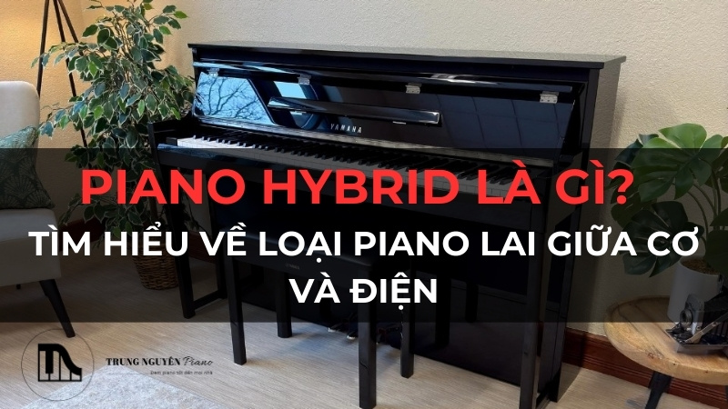 Piano Hybrid là gì? Tìm hiểu về loại piano lai giữa cơ và điện