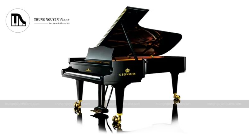 Piano Hybrid là gì? Tìm hiểu về loại piano lai giữa cơ và điện 13 Piano Hybrid Casio ft C. Bechstein