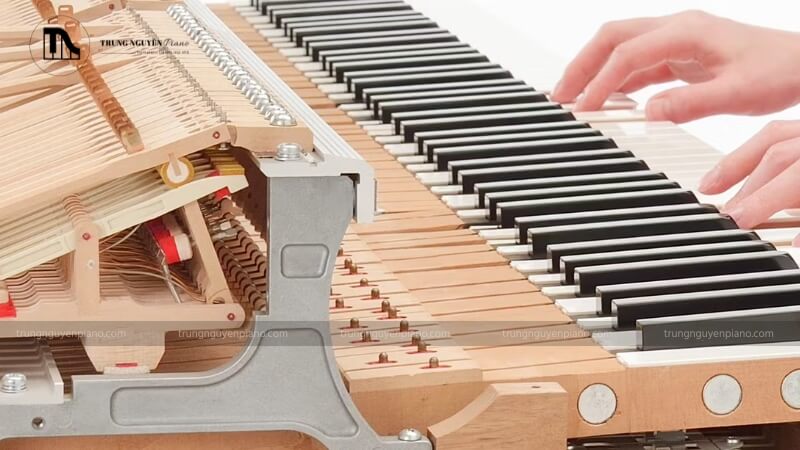 Piano Hybrid là gì? Tìm hiểu về loại piano lai giữa cơ và điện 3 Piano hybrid được trang bị bàn phím gỗ