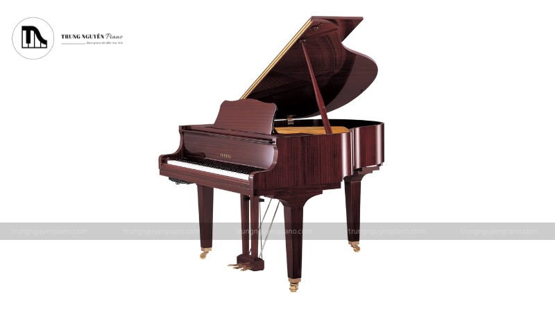 Piano Hybrid là gì? Tìm hiểu về loại piano lai giữa cơ và điện 2 Grand hybrid piano không cần dùng dây đàn