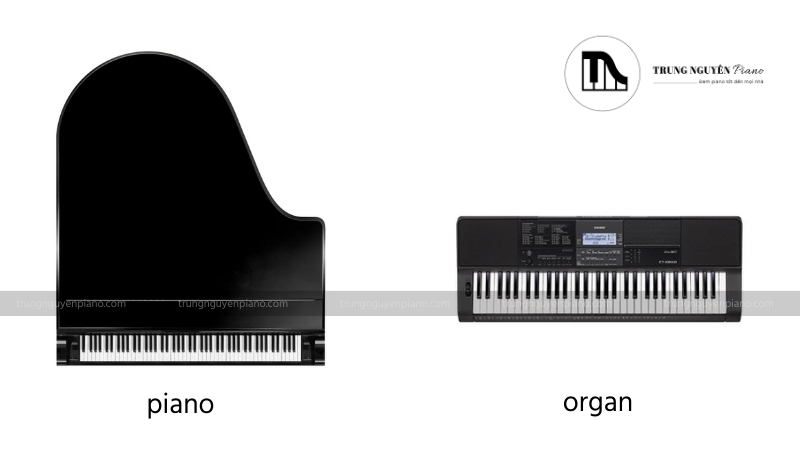 Giải đáp chi tiết: Học organ có chơi được piano không? 2 Piano và Organ có nhiều điểm giống nhau