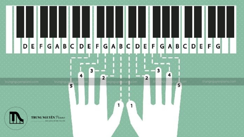 Hãy đặt 10 đầu ngón lên đúng vị trí phím đàn