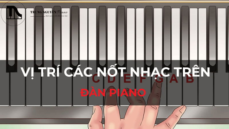 Vị trí các nốt nhạc trên đàn piano và cách ghi nhớ nhanh