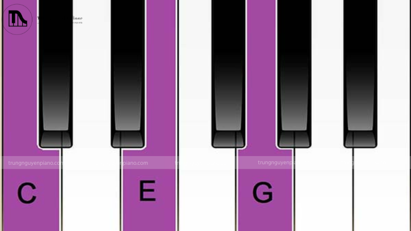 Mỗi một phím đại diện cho một nốt nhạc 