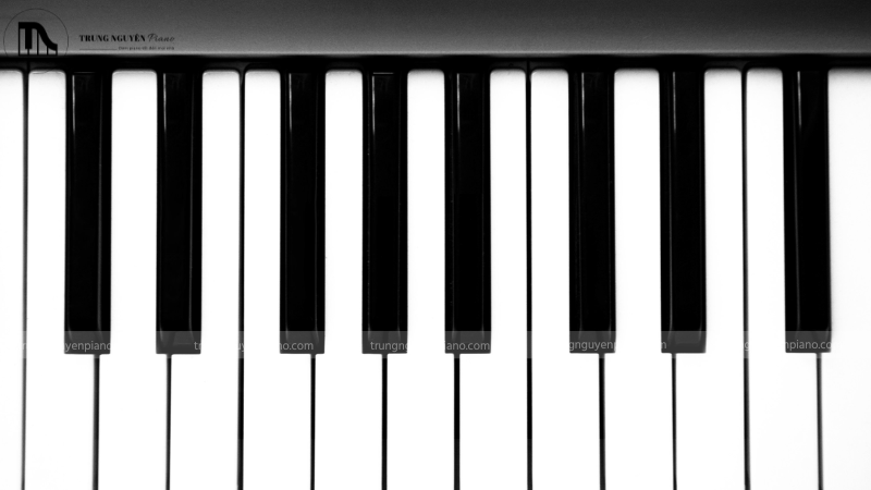 Vị trí các nốt nhạc trên đàn piano bao gồm phím trắng và đen